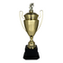 Trofeo de Copa de Metal con Figura Serie M1